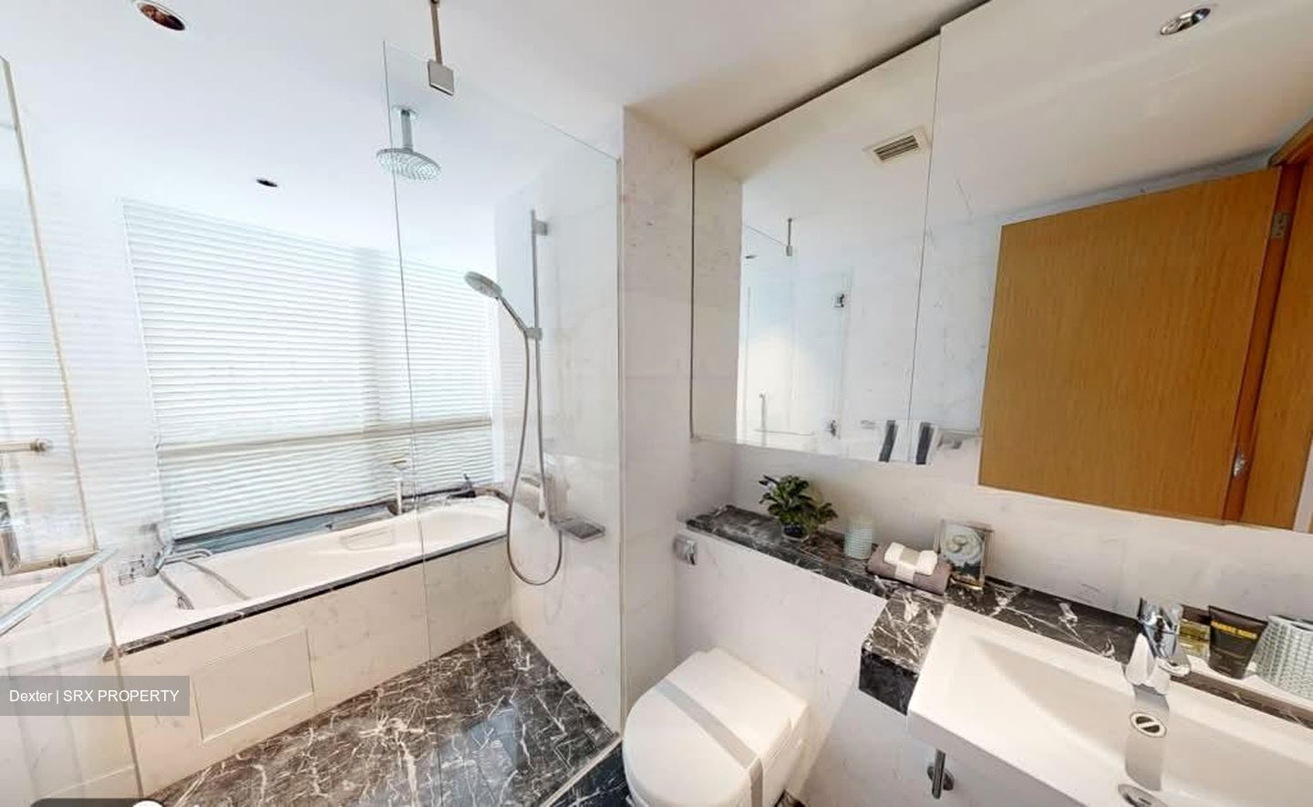 One Shenton (D1), Apartment #582932681